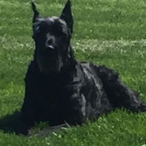 Meet your Posher, Kris